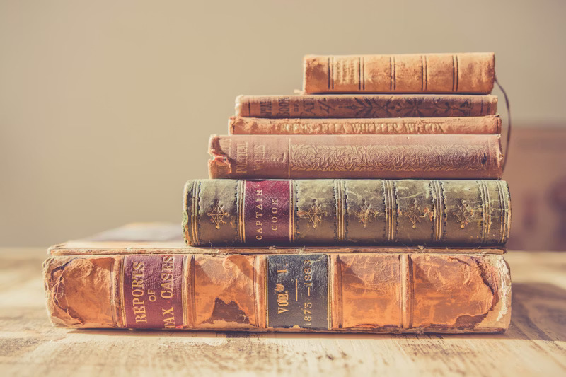 Children’s Books Adults Should Read